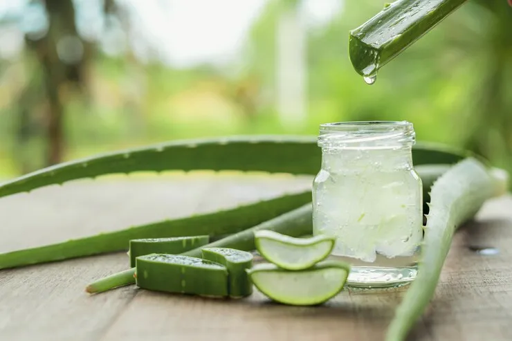 8 Manfaat Terbukti Aloe Vera untuk Kesehatan Kulit