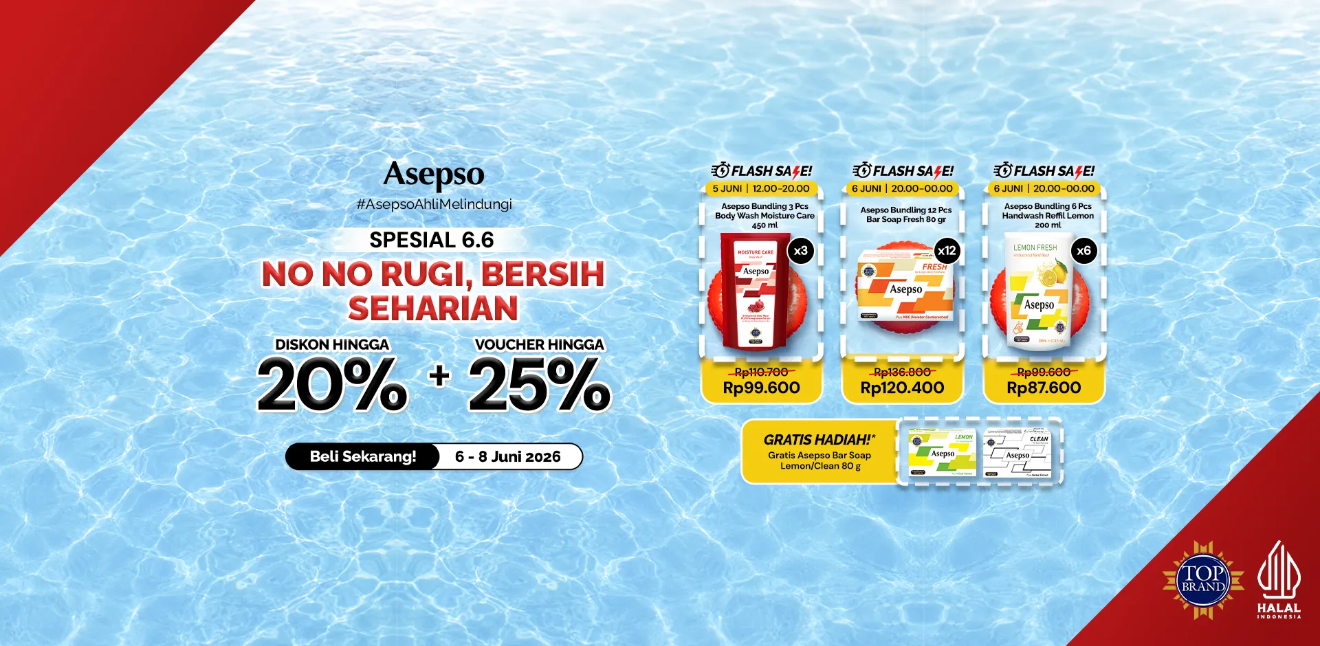 Asepso 6.6 Desktop